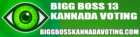 Bigg Boss Kannada 13 Common Man Voting